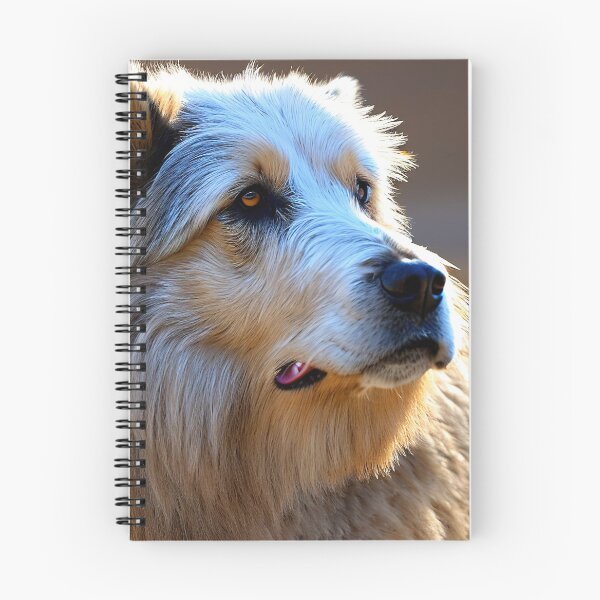 Artikelvorschau, Canine Portraits: Catalan Sheepdog entworfen und verkauft von DavesDogShop.