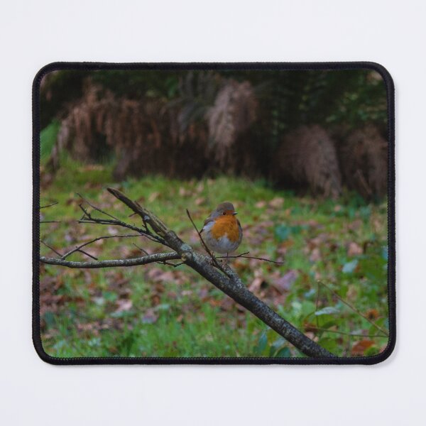 Item preview, Little Robin Red Breast designed and sold by Armstrong-photo.