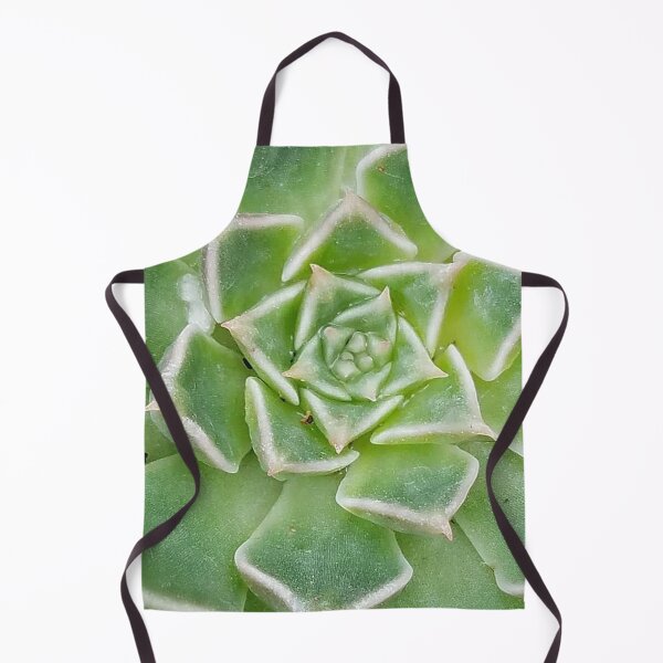Item preview, Echeveria Succulent Plant designed and sold by DesignMore21.