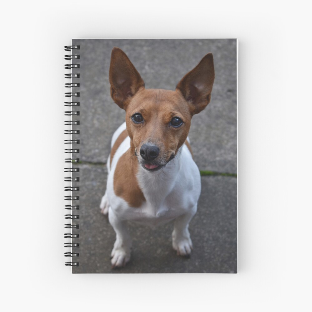Item preview, Spiral Notebook designed and sold by Armstrong-photo.