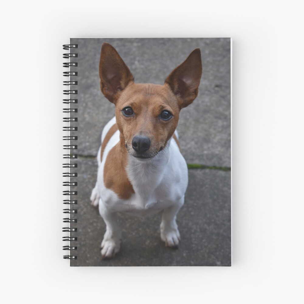 Item preview, Spiral Notebook designed and sold by Armstrong-photo.