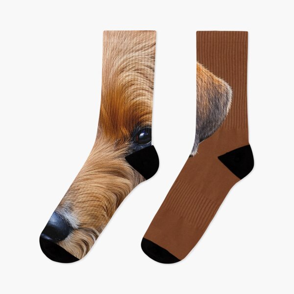 Artikelvorschau, Canine Portraits: Welsh Terrier entworfen und verkauft von DavesDogShop.