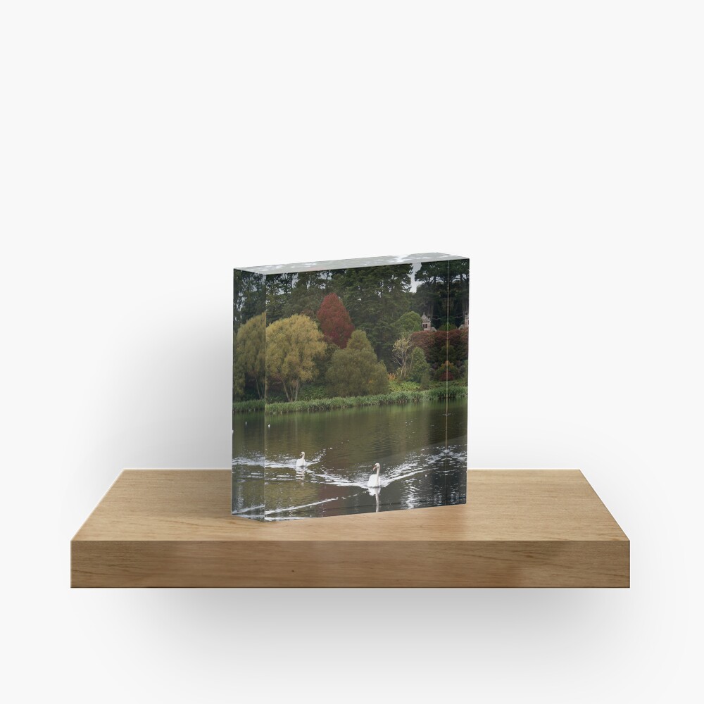 Item preview, Acrylic Block designed and sold by Armstrong-photo.