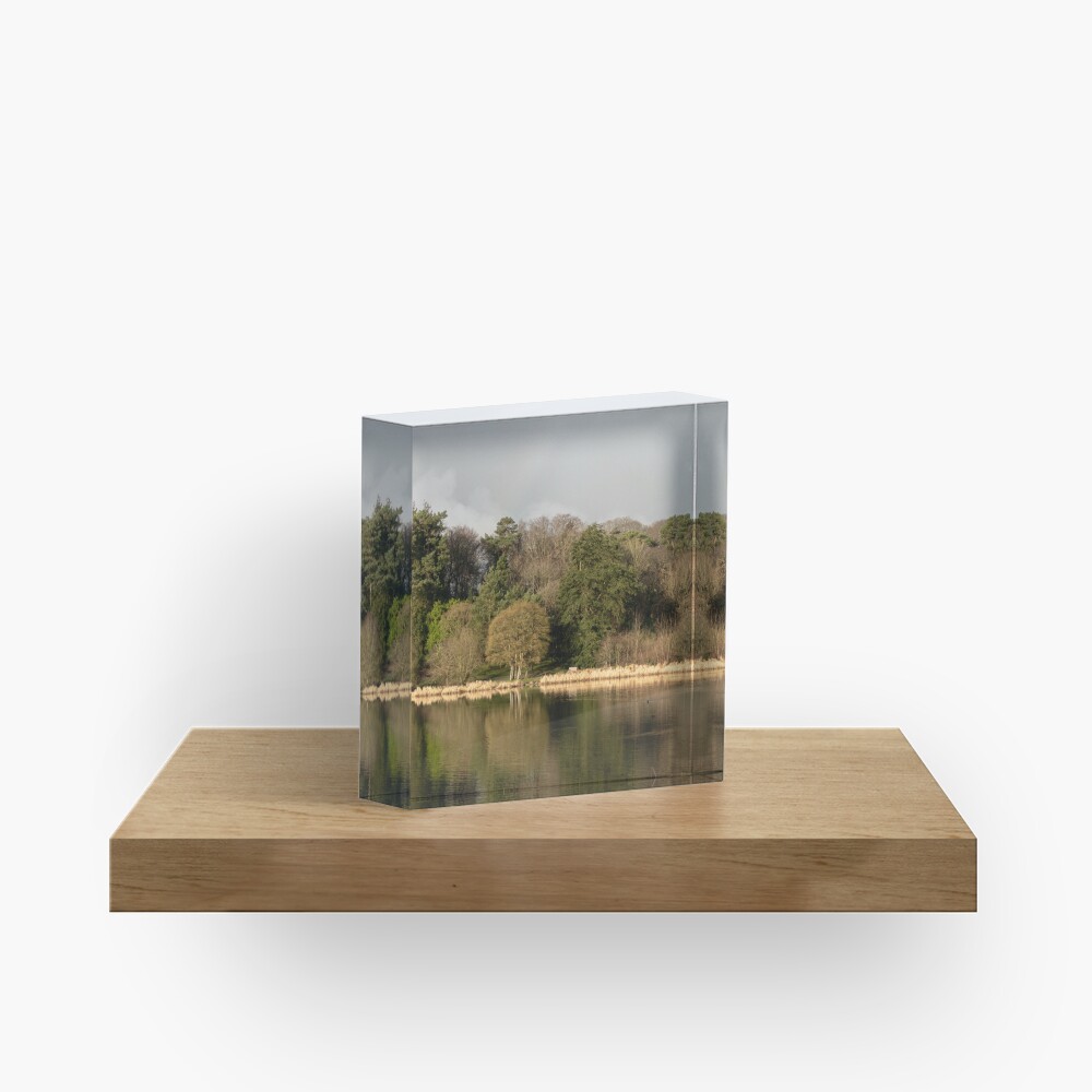 Item preview, Acrylic Block designed and sold by Armstrong-photo.