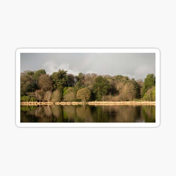 Winter lake scene Sticker
