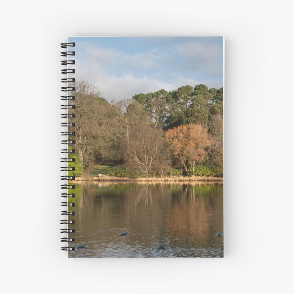 Item preview, Spiral Notebook designed and sold by Armstrong-photo.