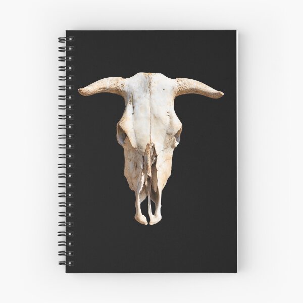 Item preview, Cattle Skull designed and sold by Dalyndigital Photography.