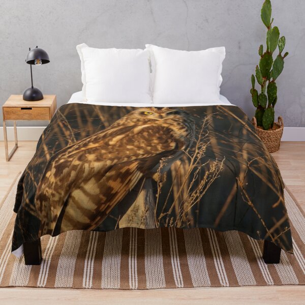 Item preview, Golden hour short eared owl designed and sold by locustgirl.