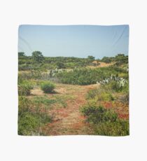 Torrey Pines California - Verdant and Arid Juxtaposition Scarf