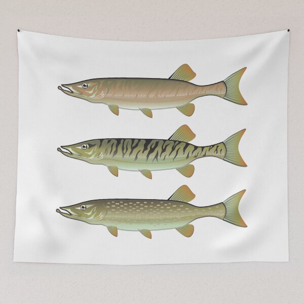 Item preview, Musky Tiger Musky Northern Pike designed and sold by vectorworks51.