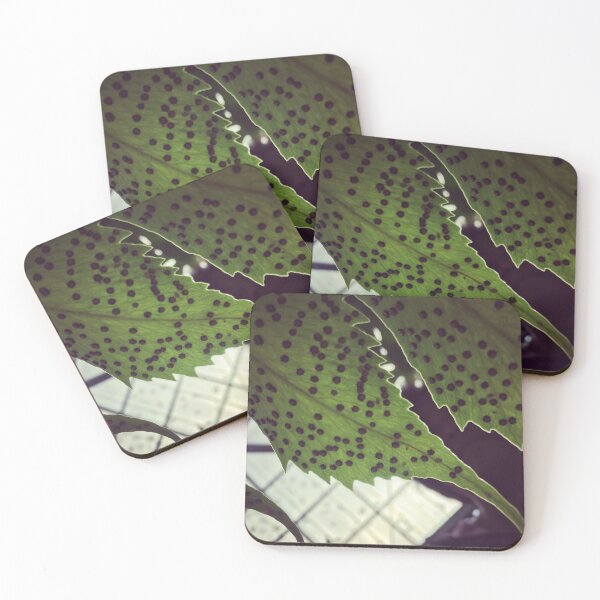 Item preview, Fern Close up designed and sold by Mimi Huang.