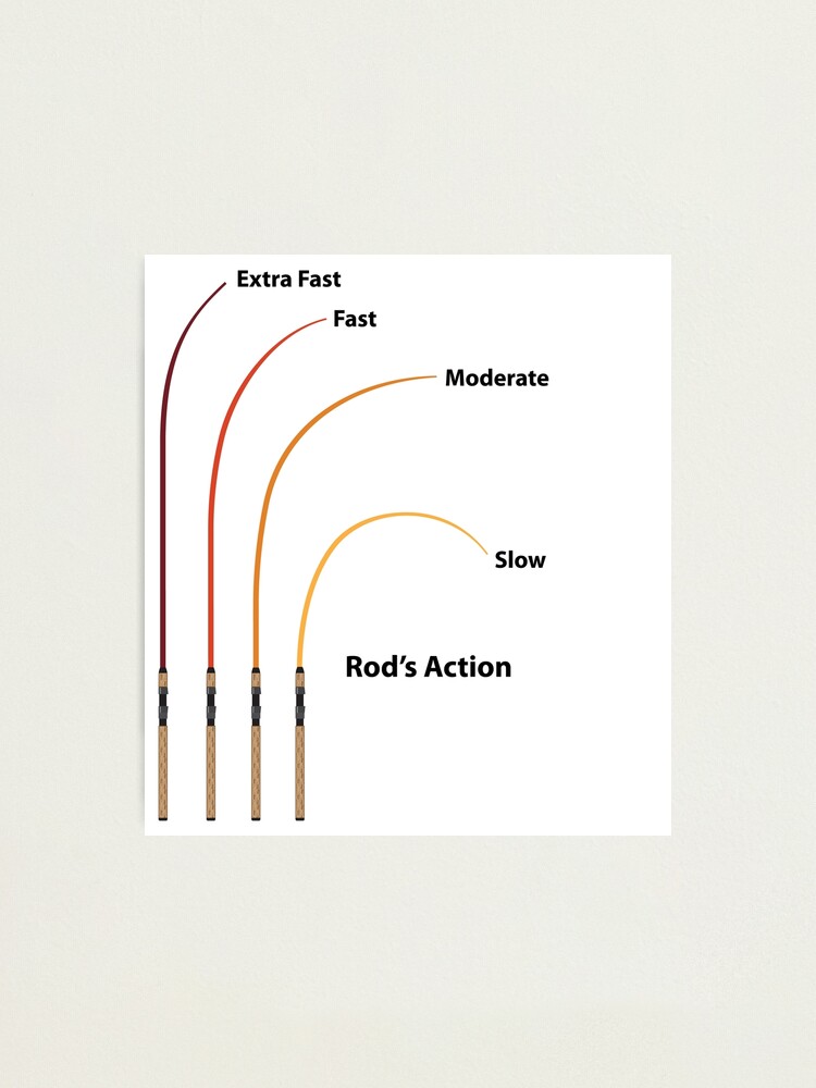 Fishing pole action diagram Photographic Print for Sale by