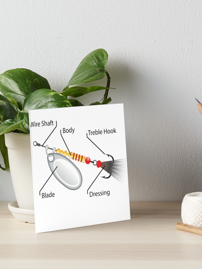 Large and Small spinners fishing lures Art Board Print for Sale by  vectorworks51