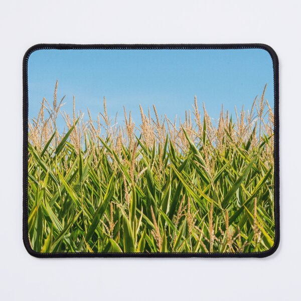 Item preview, Cornfield designed and sold by oz10.
