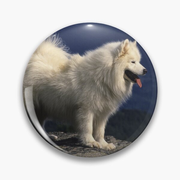 Item preview, Samoyed Standing on a Rock in France designed and sold by ScienceSource.