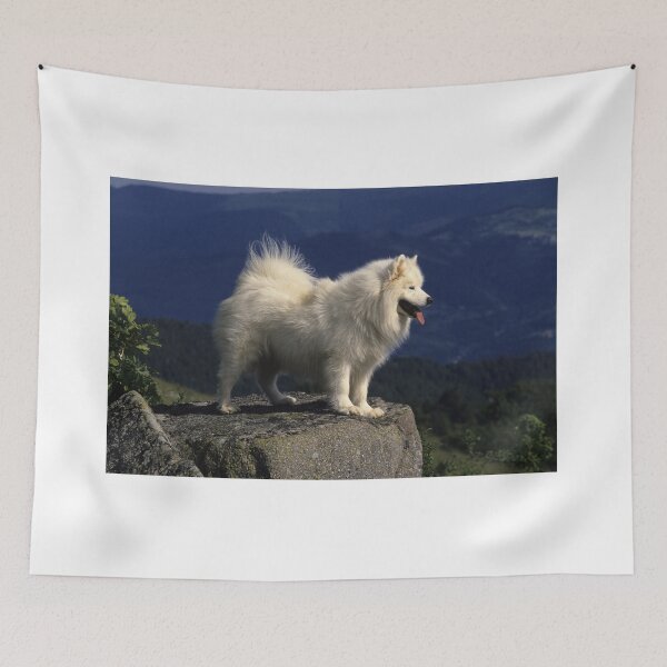 Item preview, Samoyed Standing on a Rock in France designed and sold by ScienceSource.