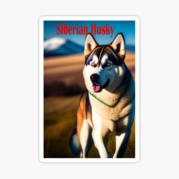 Siberian Husky Sticker