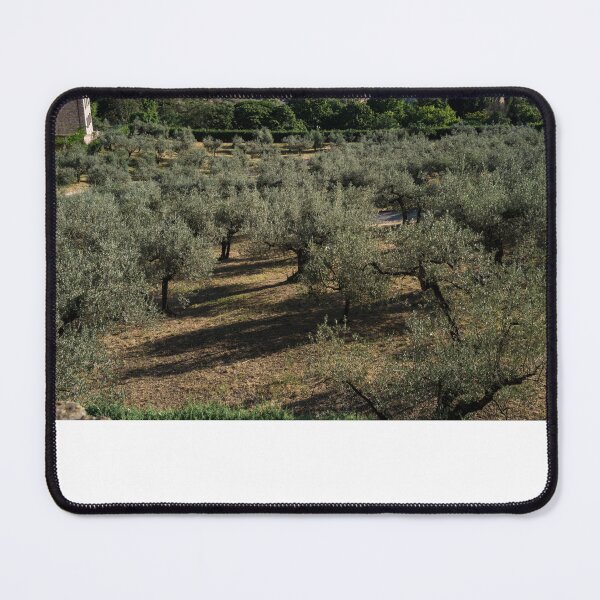 Item preview, Assisi designed and sold by Mariusz Pogorzelski Photography.
