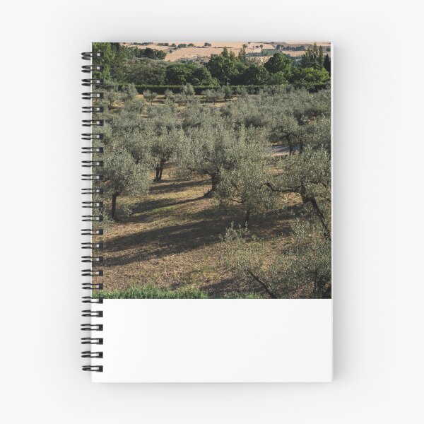 Item preview, Assisi designed and sold by Mariusz Pogorzelski Photography.