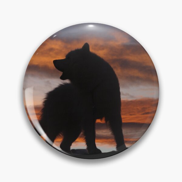 Item preview, Samoyed Howling at Sunset, Silhouetted. Colorado designed and sold by ScienceSource.