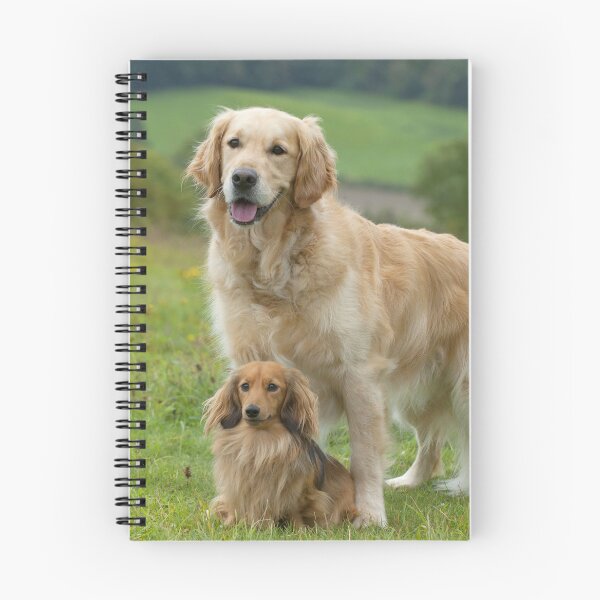 Item preview, Retriever with Brown Miniature long-haired Dachshund Best Friends designed and sold by ScienceSource.