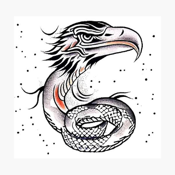 Láminas fotográficas: Serpiente Vs Serpiente | Redbubble