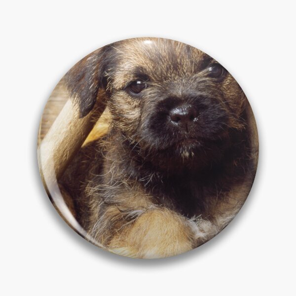 Item preview, Border Terrier Puppy in a Wagon Wheel designed and sold by ScienceSource.