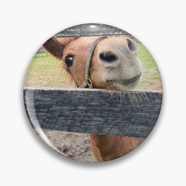 Item preview, Let me out, Please, I promise I will be good. designed and sold by CASequine.