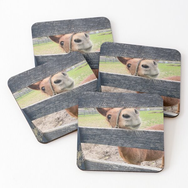 Item preview, Let me out, Please, I promise I will be good. designed and sold by CASequine.