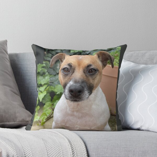 Item preview, Jack Russell Cross designed and sold by Mismatch007.
