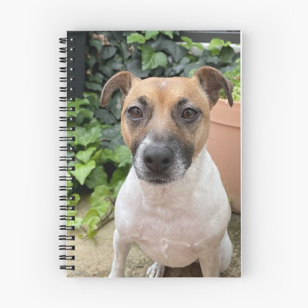 Item preview, Jack Russell Cross designed and sold by Mismatch007.