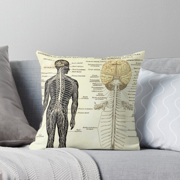 Item preview, Vintage Poster of the Nervous System designed and sold by Corrie Mick.