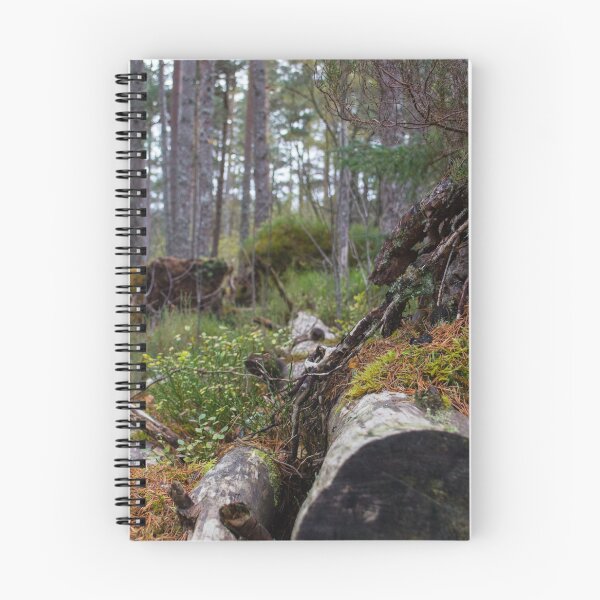 Item preview, Autumn Woodlands designed and sold by PaulBaldwin.