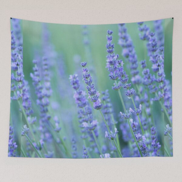 Item preview, Peacefully Purple Lavender designed and sold by imaginethis.