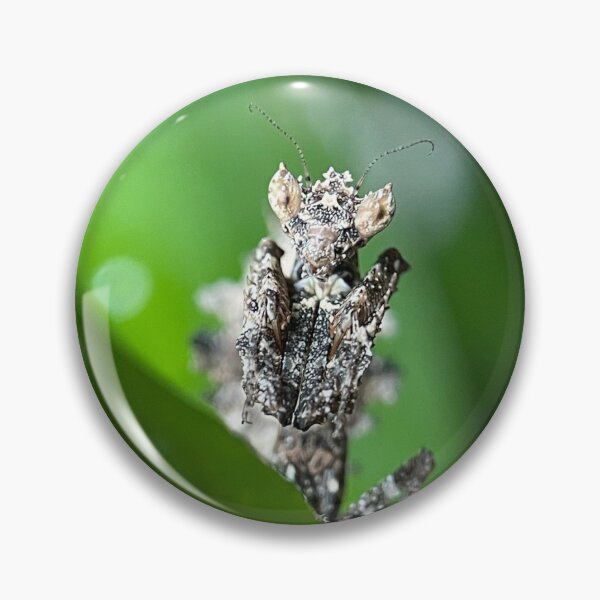 Item preview, Liquen mantis designed and sold by Reptillery.