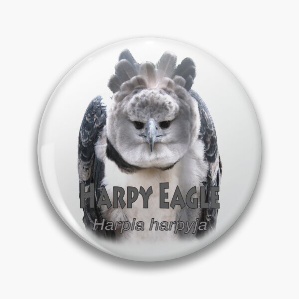 Item preview, Harpy eagle designed and sold by The Sleepy Monito.