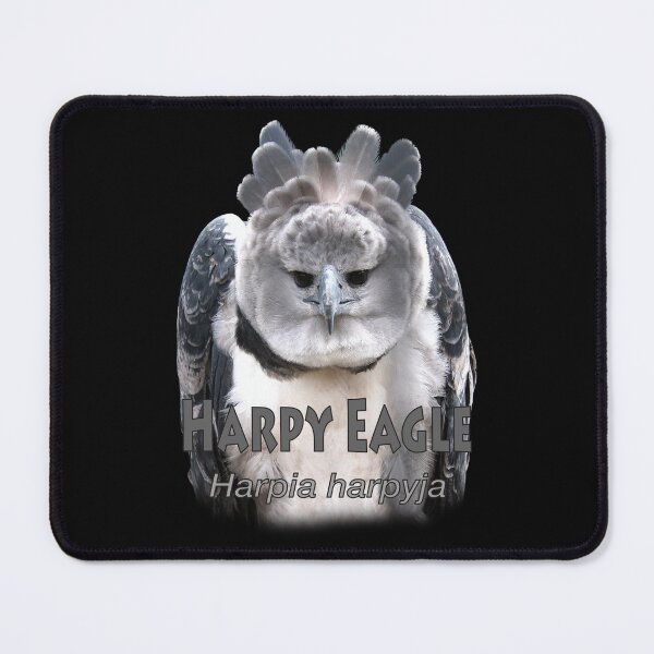 Item preview, Harpy eagle designed and sold by The Sleepy Monito.