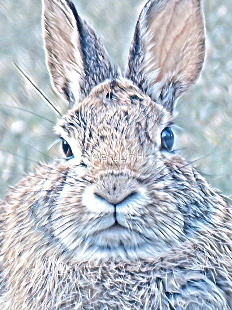 Thumbnail 4 of 4, iPhone Case, Cottontail Rabbit-B designed and sold by MaryLinH.