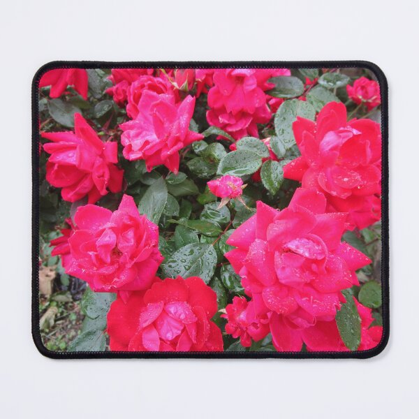Item preview, RAVISHING RED ROSES designed and sold by JoAnnHayden.