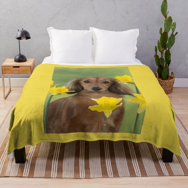 Item preview, Long-haired Dachshund with Yellow Daffodils designed and sold by ScienceSource.
