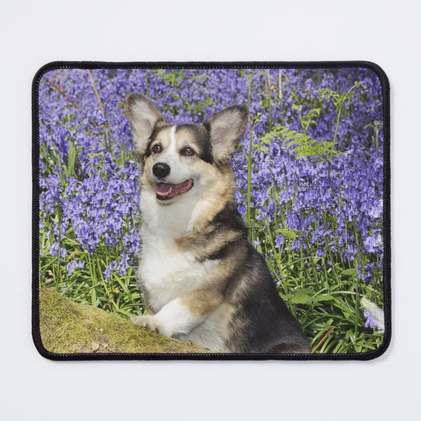 Item preview, Pembroke Welsh Corgi in a Field of Purple Flowers  designed and sold by ScienceSource.