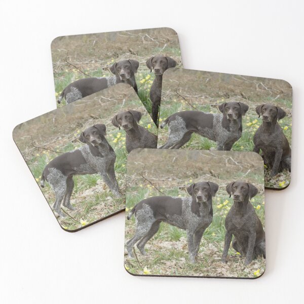 Item preview, Two German Short-haired Pointers in a Field designed and sold by ScienceSource.