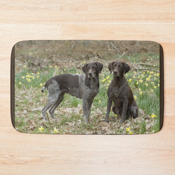 Item preview, Two German Short-haired Pointers in a Field designed and sold by ScienceSource.