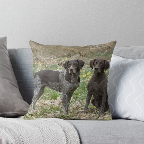 Item preview, Two German Short-haired Pointers in a Field designed and sold by ScienceSource.