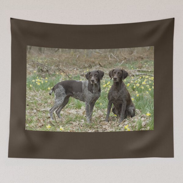 Item preview, Two German Short-haired Pointers in a Field designed and sold by ScienceSource.