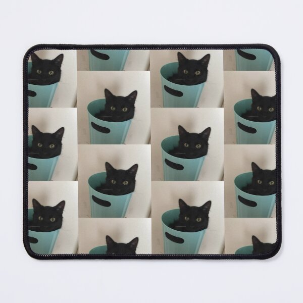 Item preview, cat in bucket, he fits well. designed and sold by KodiArts.