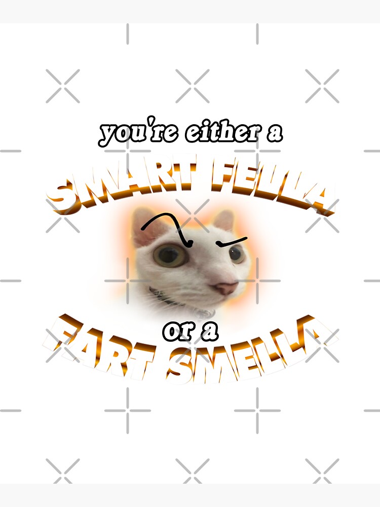 you're a smart fella or a fart smella Mouse Pad for Sale by snazzyseagull