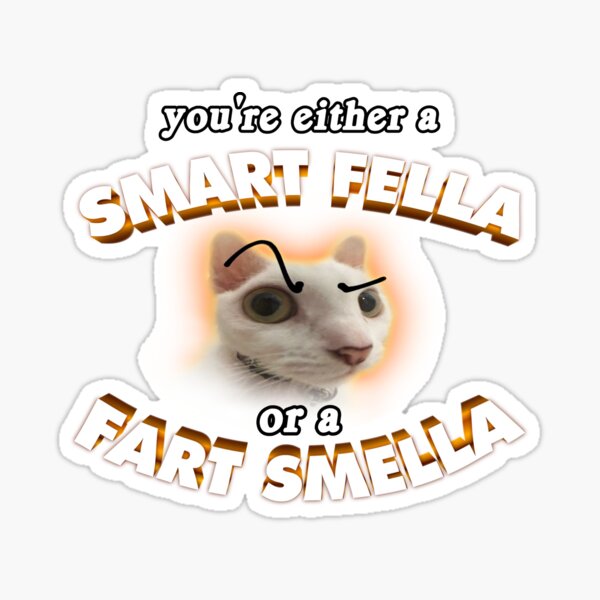 you're a smart fella or a fart smella Sticker