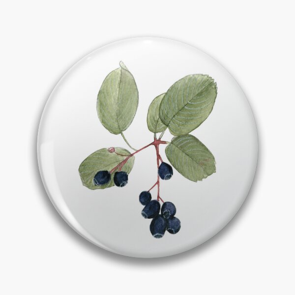 Item preview, Saskatoon Serviceberry designed and sold by ginkgogirl.
