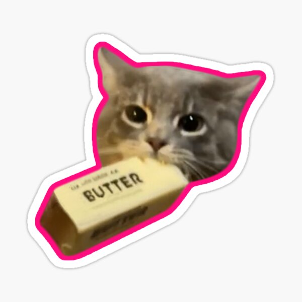 Cat 2025 ate butter